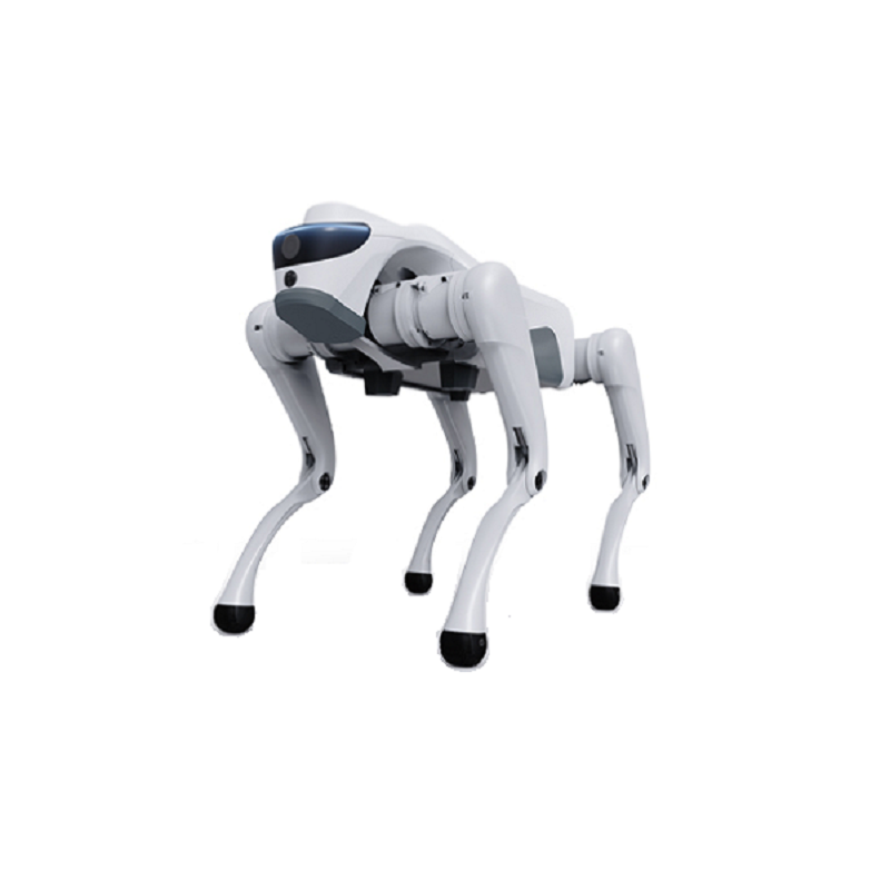 Dördbucaqlı Robot Müasir Sənaye və Ağıllı Tətbiqləri Necə Transformasiya edə bilər?