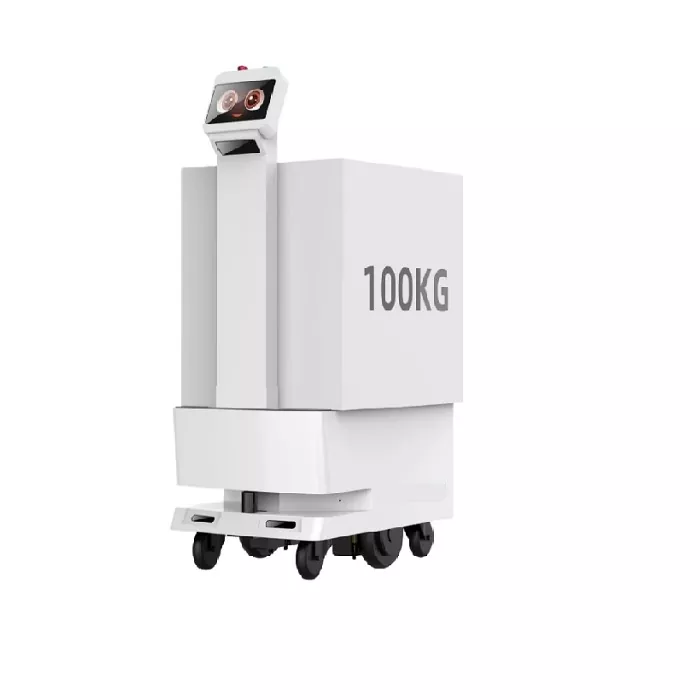 Çatdırılma robotu