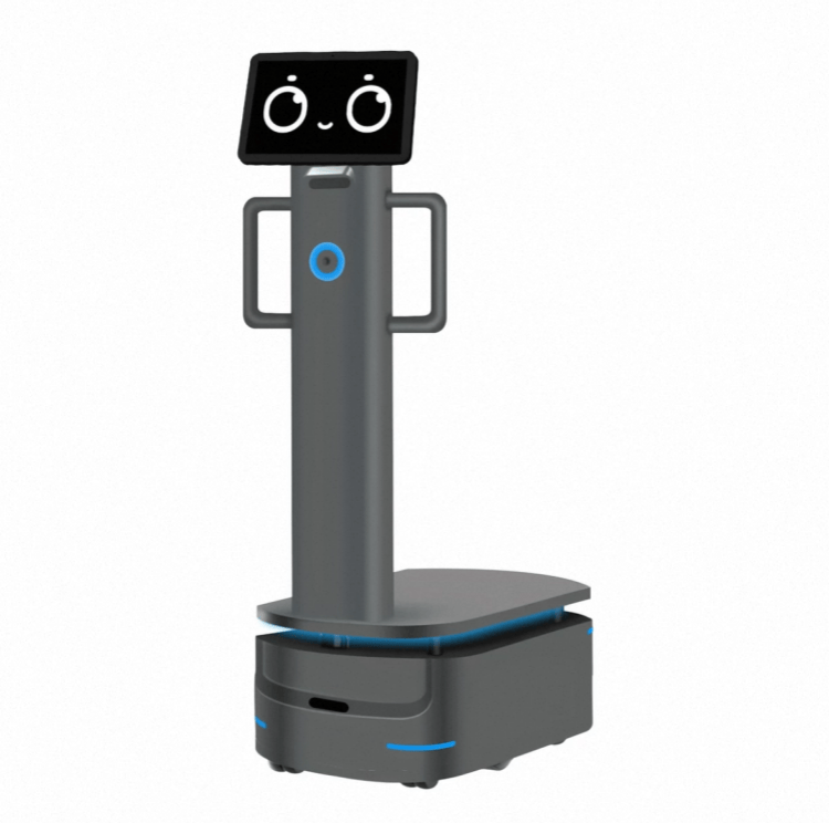 Sənaye Çatdırılması üçün Ağır Yük Robotu