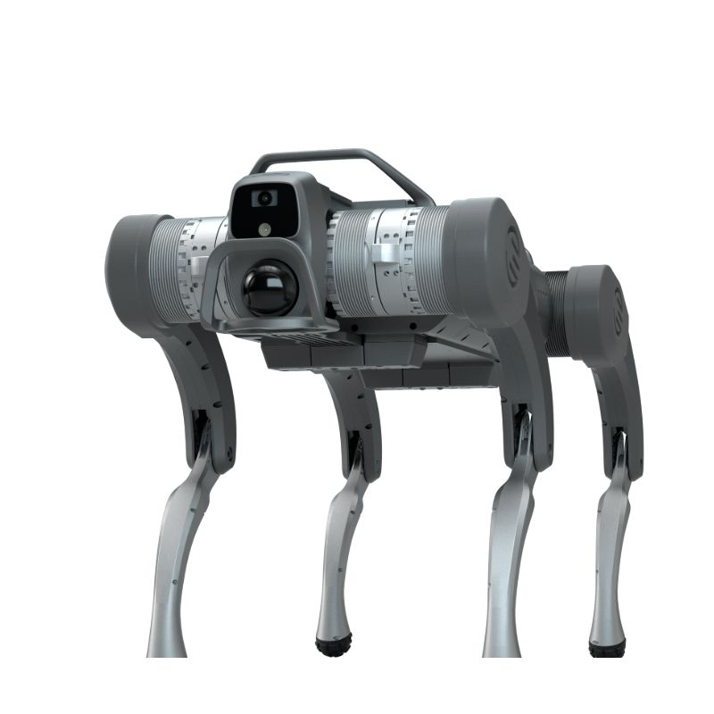 Açıq mənbəli dördayaqlı robot it